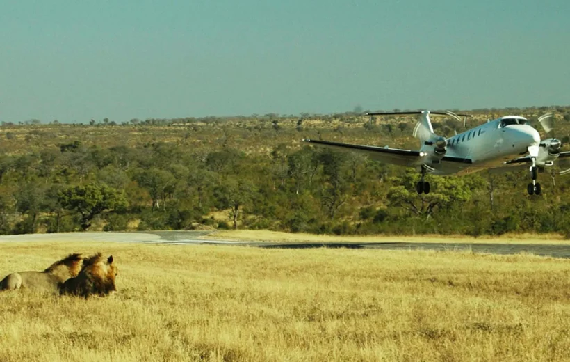 Drive & Fly back Safari to Serengeti (6 Days)