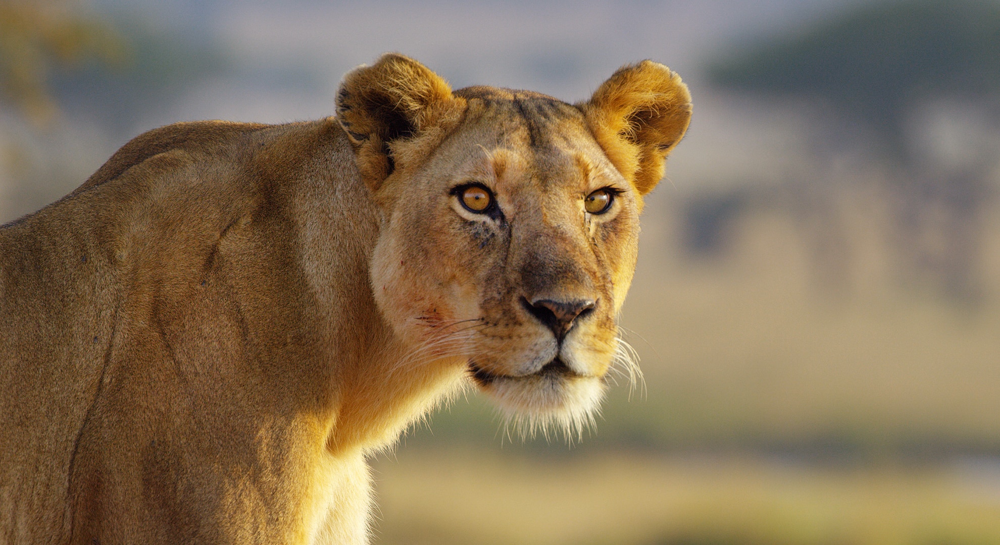 Serengeti National Park