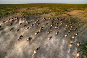 Tanzania's Great Migration & Western Serengeti Safari (8 Days)