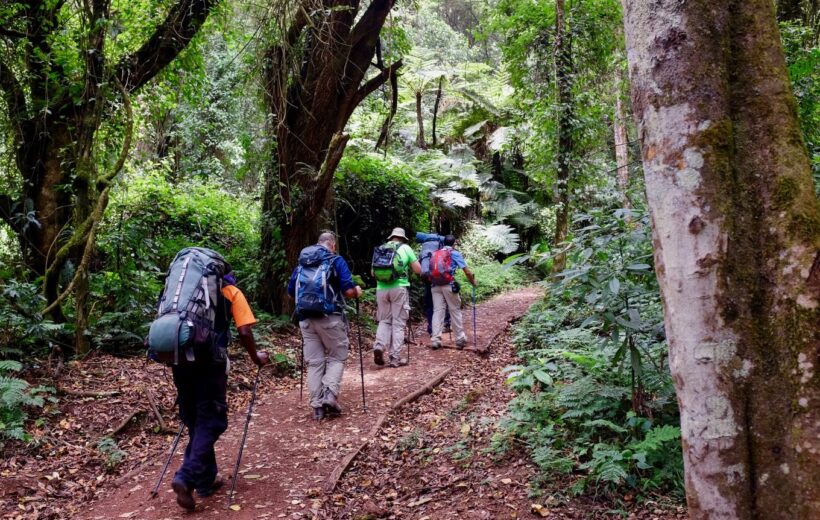 7 Days Kilimanjaro Rongai Route Trekking